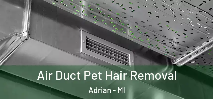 Air Duct Pet Hair Removal Adrian - MI