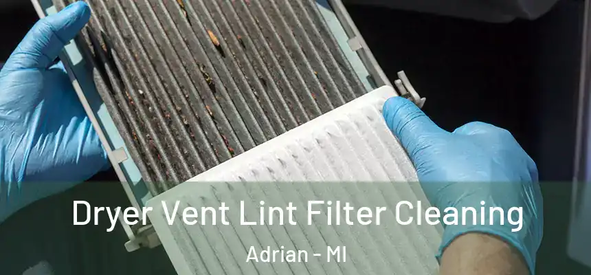  Dryer Vent Lint Filter Cleaning Adrian - MI