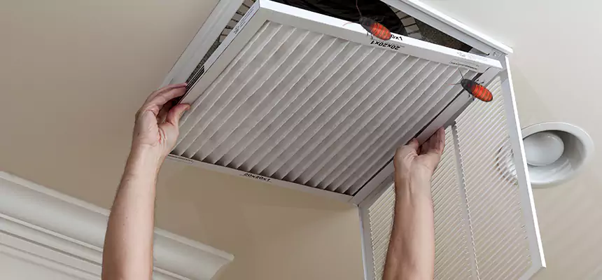 Preventive Cockroach-Proofing for Ducts in Adrian