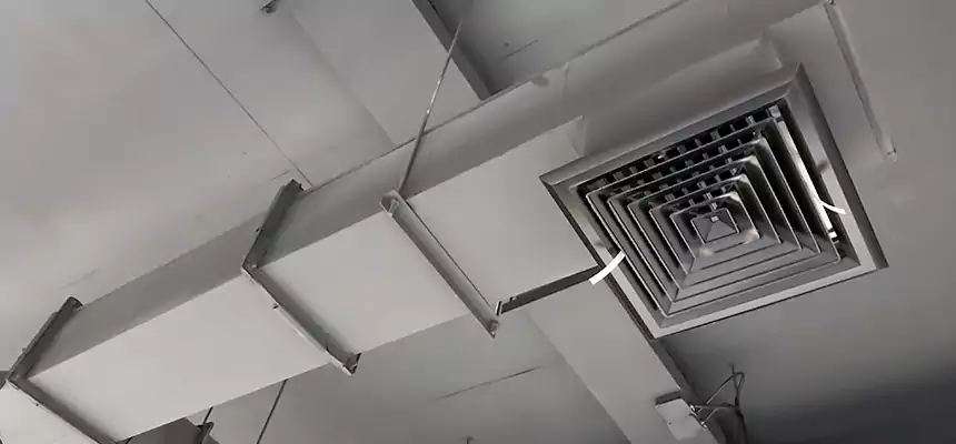 Our Rodent Droppings In Vents Services in Adrian, MI