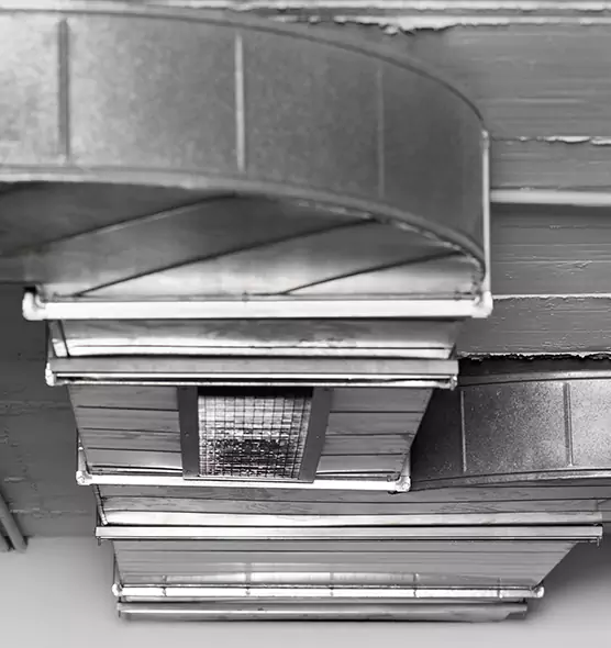 Professional Air Duct Pest Removal in Adrian, MI